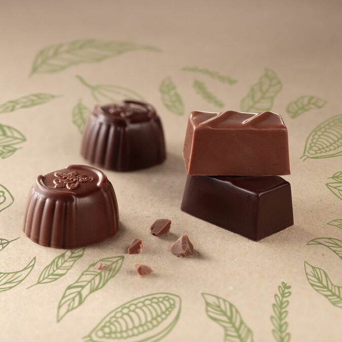 Chocolats Vegan Leonidas